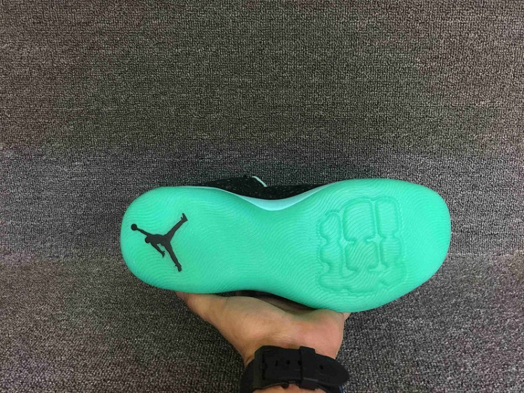 Nike Air Jordan Ultra Fly 834268-006 