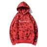 Bape x Champion hoodie CT6307