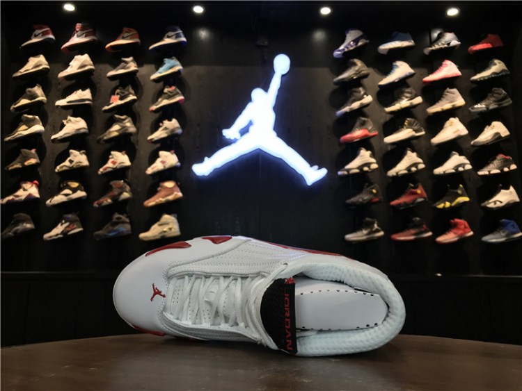 Nike Air Jordan 14 “ Retro” 311832-101