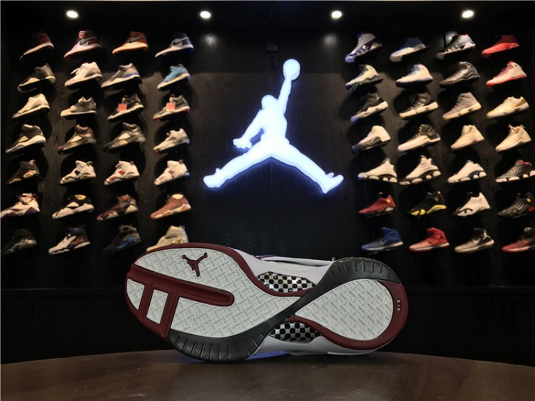 Nike Air Jordan XIX (19) Retro 307547-102