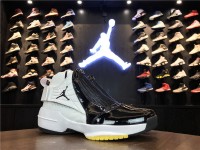 Nike Air Jordan XIX (19) Retro 307548-101