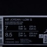 Nike Air Jordan 1 low Golf Shadow DD9315-001
