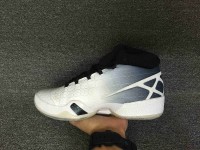 Nike Air Jordan XXX (30)
