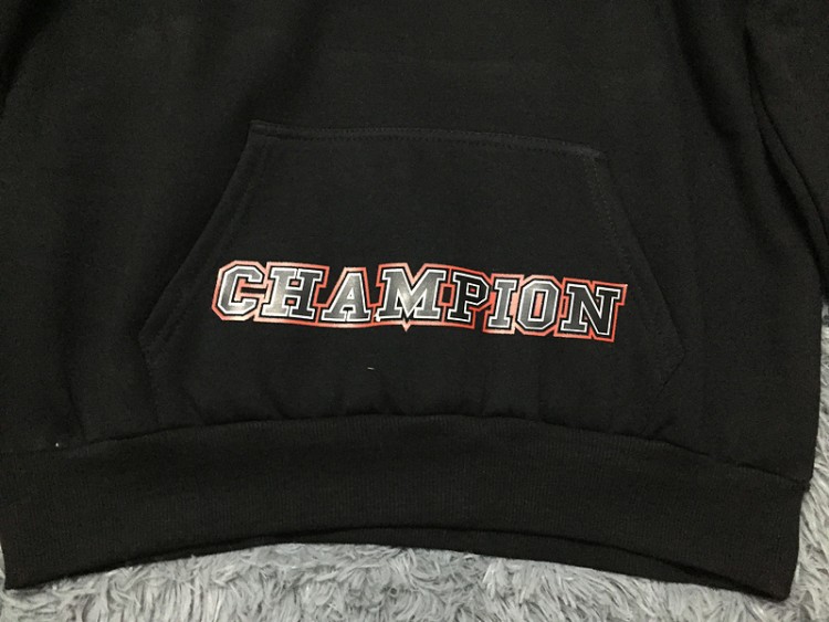 Champion hoodie WH816