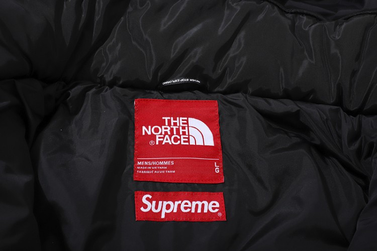 The North Face x Supreme HD9901