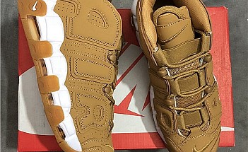 allstarshoe 31.03 (26)