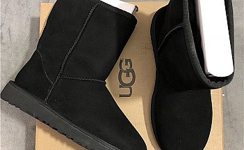 allstarshoe 31.03 (46)