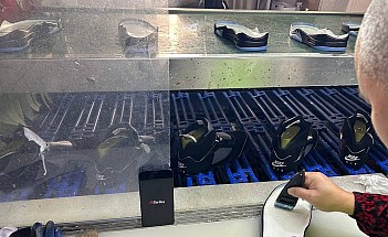 photo_2025-04-12_09-49-01