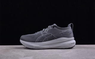 Asics Gel-kayano 31