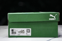 Puma Inverse Rev 401765 01