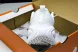 Nike Air ZoomX Vomero 18 Plus HM6805 102 