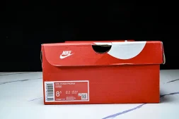 Nike Air Max Phoenix FZ5307-101