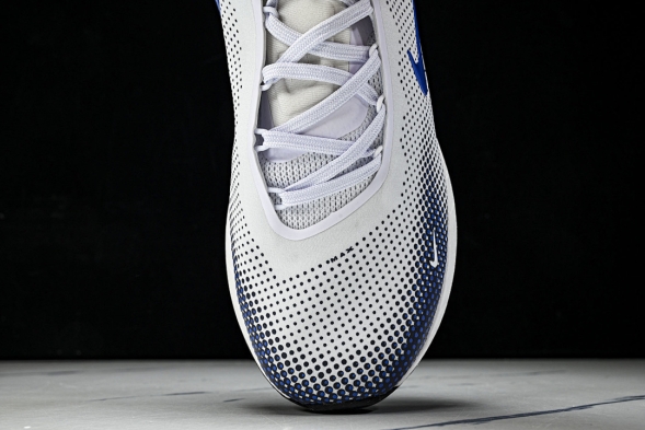 Nike Air Max Phoenix FZ5307-101 