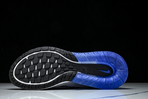 Nike Air Max Phoenix FZ5307-101 