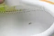 Hoka Rincon 4 1155131 FTLT 