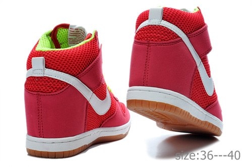 Nike Wmns Dunk Sky