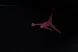 Nike Air Jordan 1 Mid 554724-079 