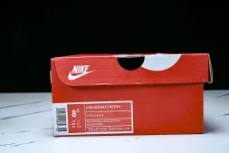 Nike Air Max Phoenix FZ5307-104