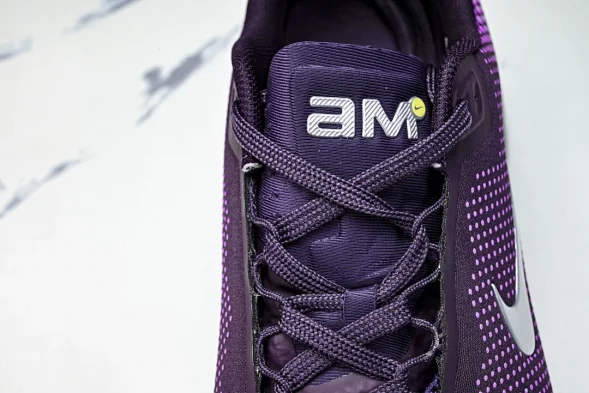 Nike Air Max Phoenix FZ5307-104 