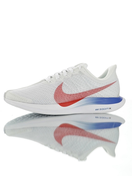 Nike Zoom Pegasus 35  