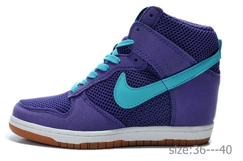 Nike Wmns Dunk Sky