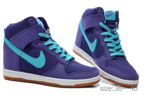 Nike Wmns Dunk Sky