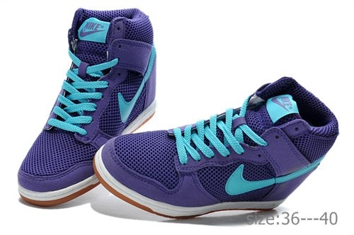 Nike Wmns Dunk Sky