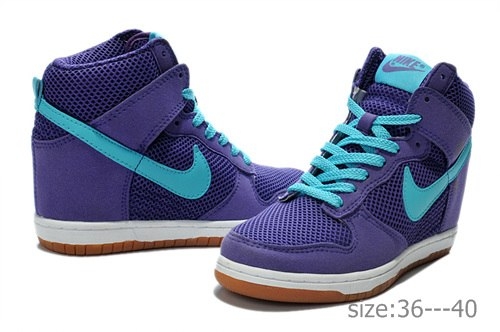 Nike Wmns Dunk Sky