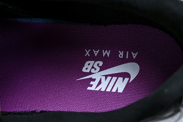 Nike Air Max 95 x Eric Koston HF7545-100 