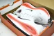 Nike Air ZoomX Vomero Plus HV8150-100 