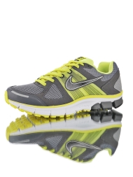 Nike Air Pegasus + 28 443805-070