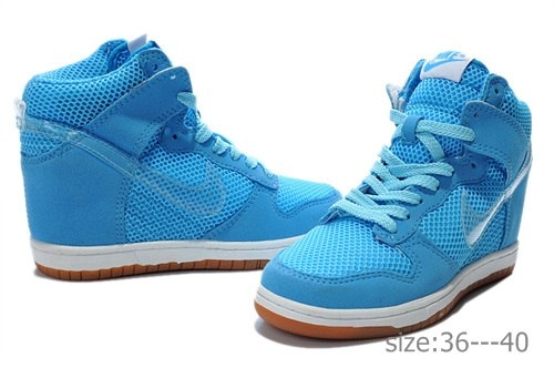 Nike Wmns Dunk Sky 