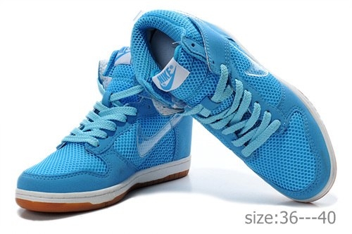 Nike Wmns Dunk Sky 