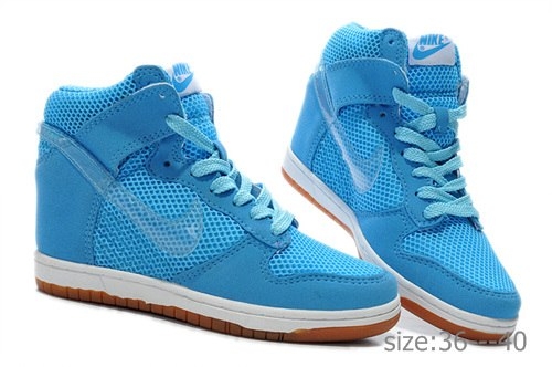 Nike Wmns Dunk Sky 