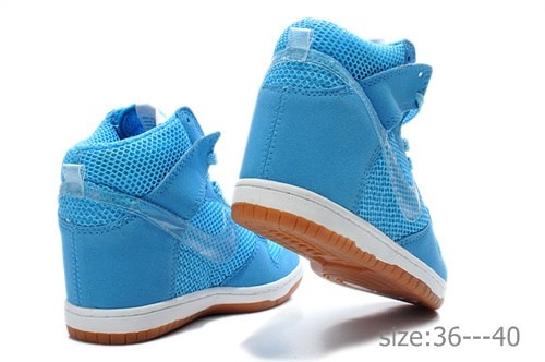 Nike Wmns Dunk Sky 