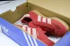 Adidas Gazelle Indoor JI2756 