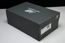 New Balance 1906 M1906RZV