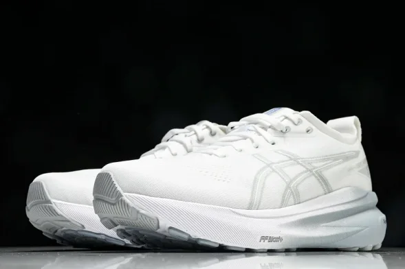 Asics Gel-kayano 31 1012B794-100 