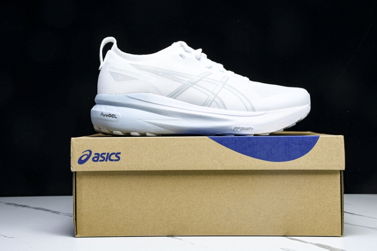 Asics Gel-kayano 31 1012B794-100