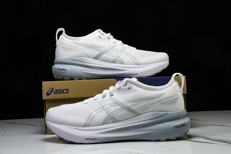 Asics Gel-kayano 31 1012B794-100