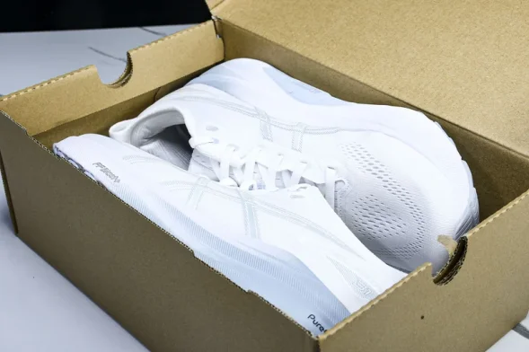 Asics Gel-kayano 31 1012B794-100 