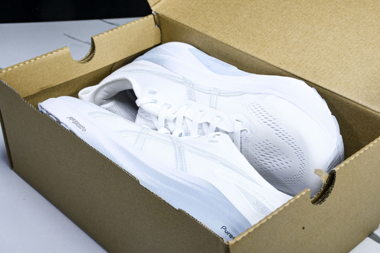 Asics Gel-kayano 31 1012B794-100
