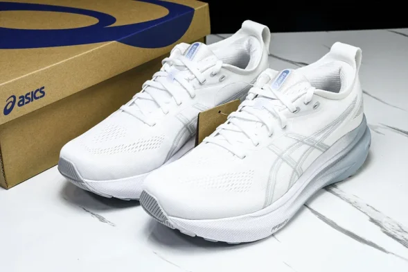 Asics Gel-kayano 31 1012B794-100 