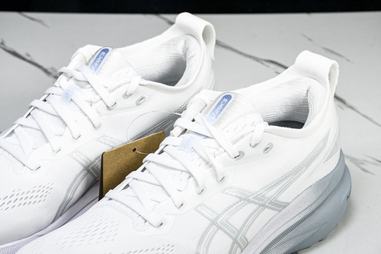 Asics Gel-kayano 31 1012B794-100