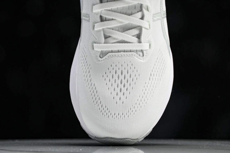 Asics Gel-kayano 31 1012B794-100