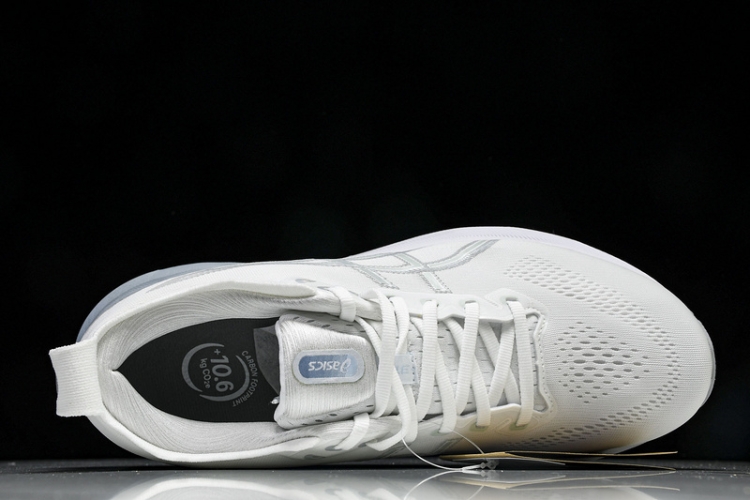 Asics Gel-kayano 31 1012B794-100