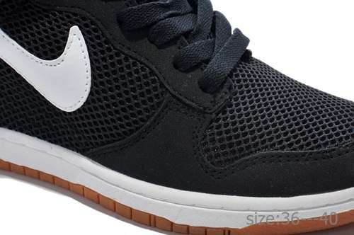 Nike Wmns Dunk Sky 