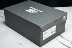 New Balance 1906 M1906RJB