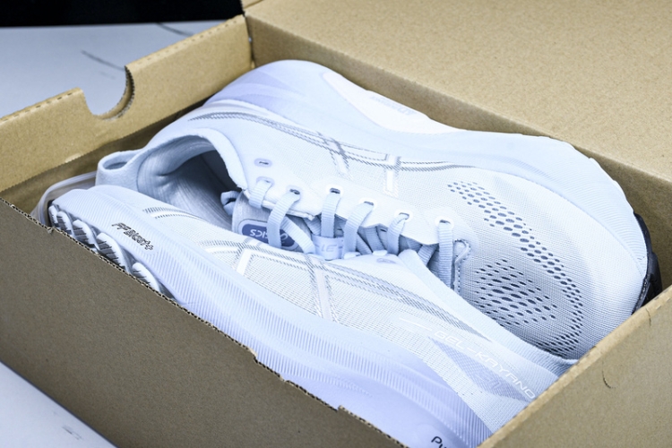 Asics Gel-kayano 31 1012B670-021