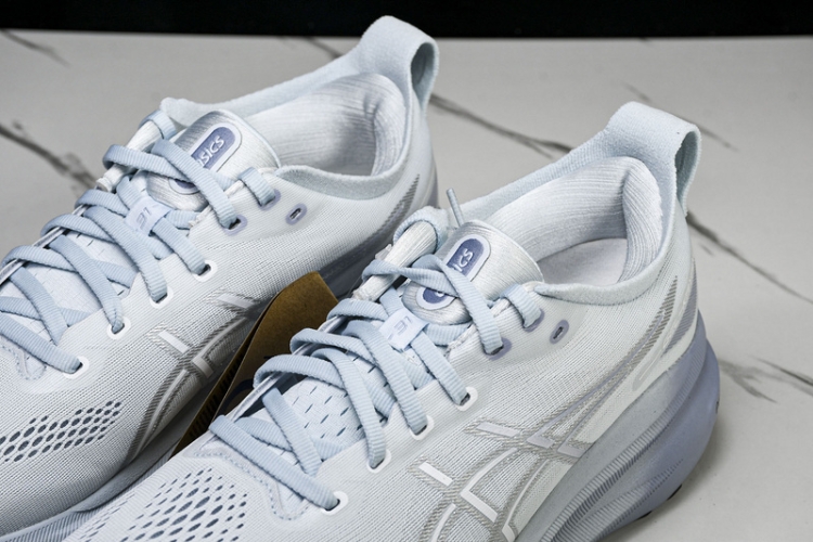 Asics Gel-kayano 31 1012B670-021